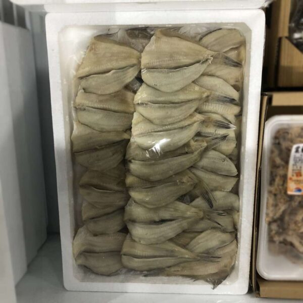はまちく 温泉かれい