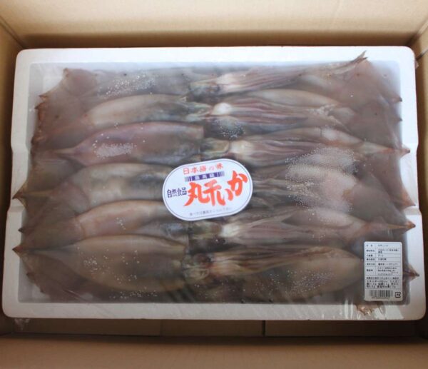丸干しいか